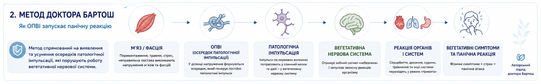 Схематичне пояснення механізму відповідно до авторської концепції методу доктора Бартош